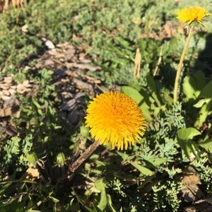 Meet your Posher, Jia hui